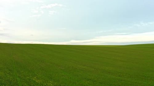 Bright Green Field with Beautiful Clouds
