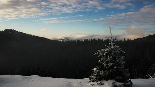 Winter in den Bergen