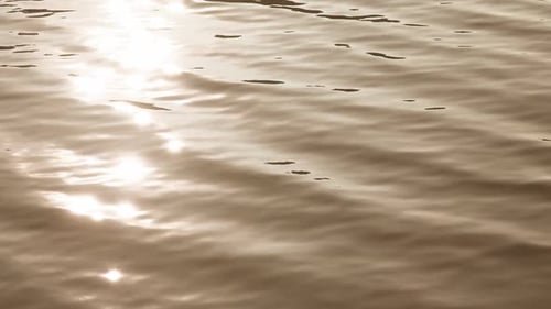 Golden Light Reflecting on Rippling Ocean Water