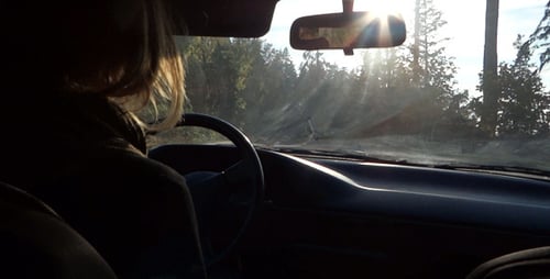 Lady Driving Old Car On Forest Road