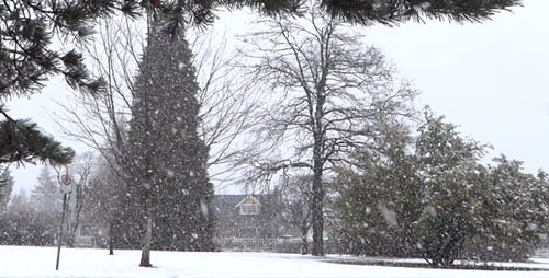 Winter Village Snowfall - 01