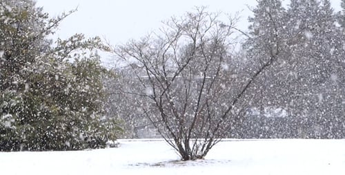 Winter Village Snowfall - 02