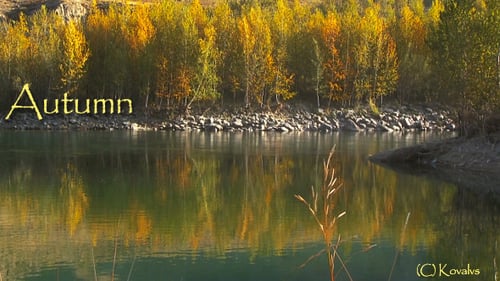 Río y bosque de otoño