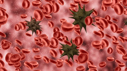 Animated Red Blood Cells and Viruses in Human Body