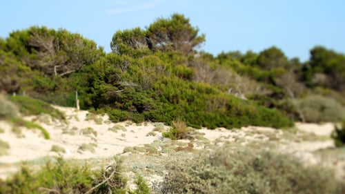 Mallorca Beach 05