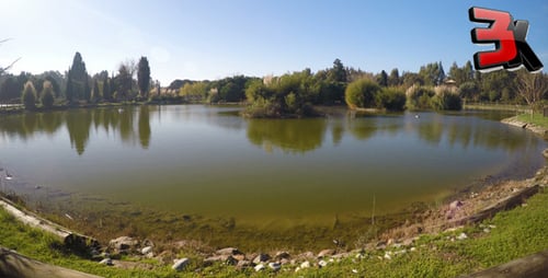 The Lake 2