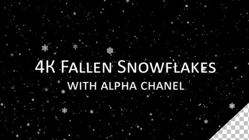 Falling Snowflakes Animation for Winter Holiday Videos