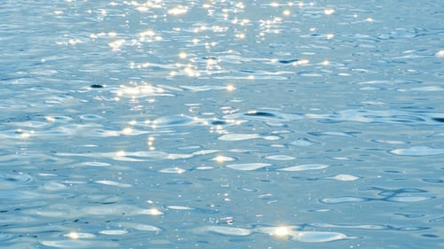Meer