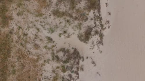Aerial view of a coast scenery. White fine sands and vegetation. To one side there is vegetation and