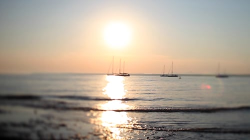 Sunrise on Ocean with Sailboats in the Distance