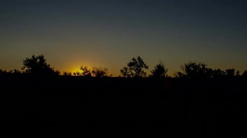 Sunrise. The Bright Sun Rises From the Horizon. Sunlight Breaks Through the Branches of Shrubs and