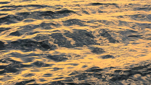 Meer & Wellen
