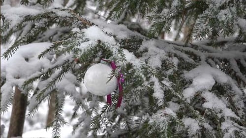 White Christmas Ornament on Snow Covered Fir Tree