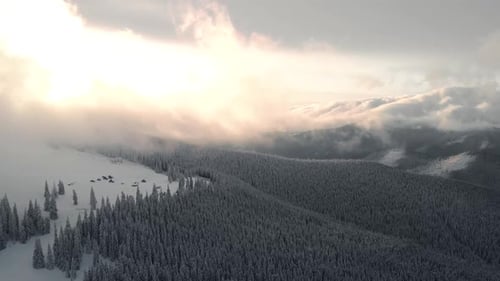 Aerial Flying Above Mountain Valley and Winter Forest at Sunrise