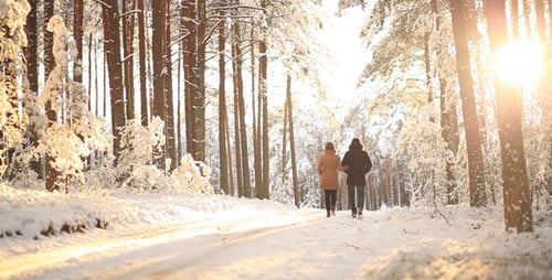 Couple Walking in Winter Forest on Sunny Day