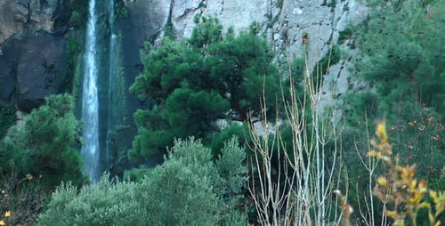 Wasserfall und Natur