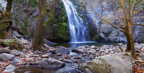 Scenic Waterfall Flowing into Stream in Nature
