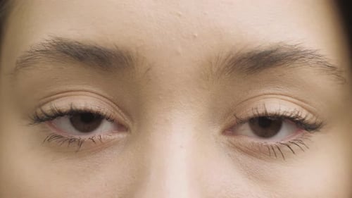 Eye Close Up Asian Brown Eyes Looking To Side Isolated on White Background