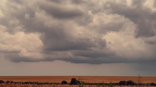 Atmospheric Storm Clouds Fast Moves Over the Wheat Field. Climate Change and Global Warming