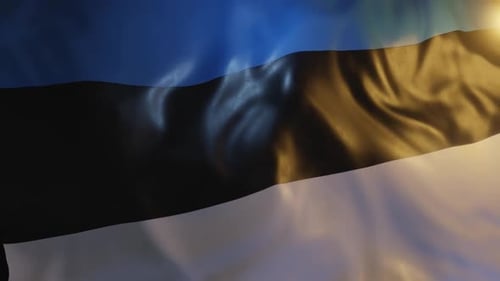 Realistic Waving Flag of Estonia with Dynamic Lighting
