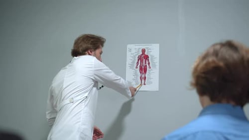 Doctor Show Picture of Human Body To Boy and Explain Something, Back View