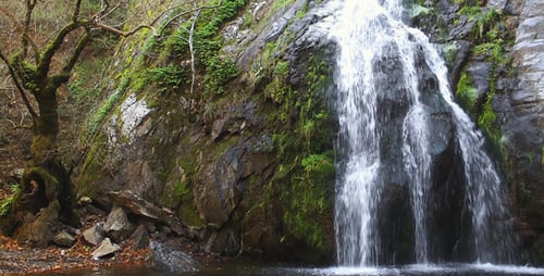 Waterfall and Nature