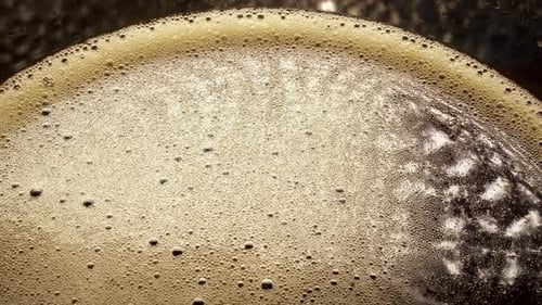 beer . beer foam. beer bubbles. light beer