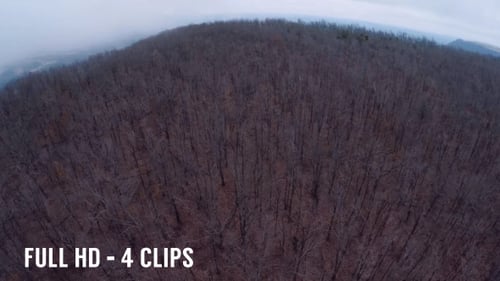 Aerial Scary Woods Packung (4 Clips)
