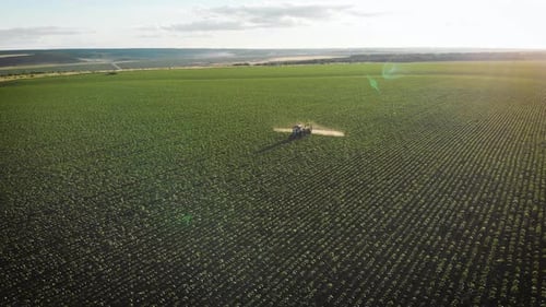 Aerial View of Farming Tractor Spraying on Field with Sprayer, Herbicides and Pesticides at Sunset