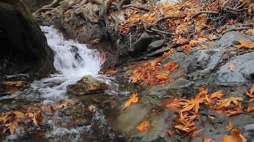 Autumn Waterfall