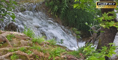 Waterfall Flowing Down Rocks in Lush Forest