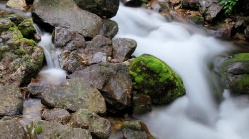 Cascada 05