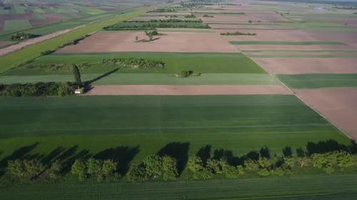 Aerial View of Rural Fields with Diverse Crops
