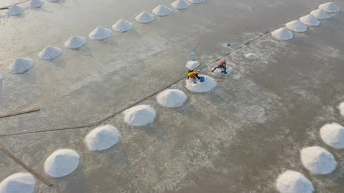 Aerial top view of farmers making heaps of raw sea salt piles with sea. Farm field outdoor. Nature