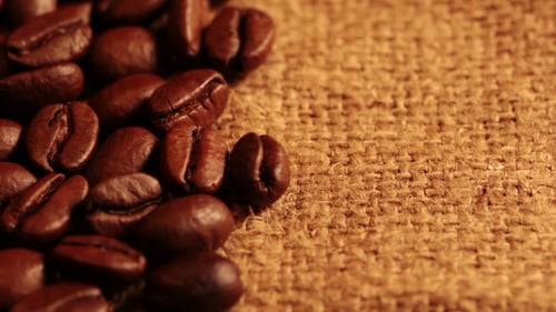 Close Up of Roasted Coffee Beans on Burlap
