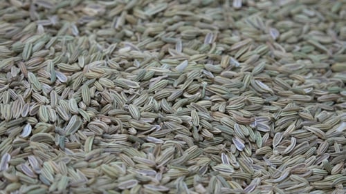 Fennel Tea