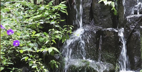 Tropical Waterfall Cascading Through Lush Foliage