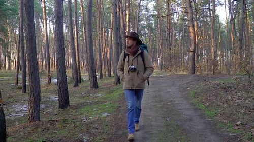 A Man with Camera Walks Along a Trail in the Forest