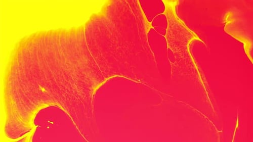 Vibrant Abstract Red and Yellow Fluid Art