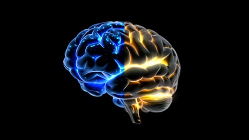 Futuristic Human Brain Rotating with Glowing Neural Activity