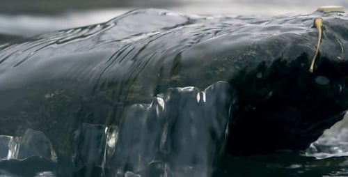 Water Flowing Over Rock on Beach