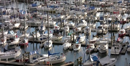 Sailboats