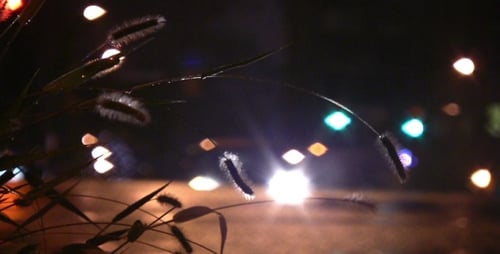 Estrada da noite chuvosa - HD