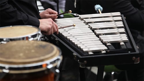 Person Plays Xylophone with Mallets Close Up