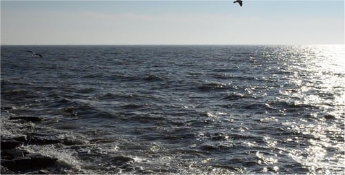 Sea 2