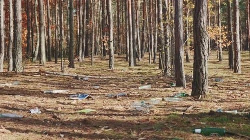 Shot of Forests' Pollution with Garbage