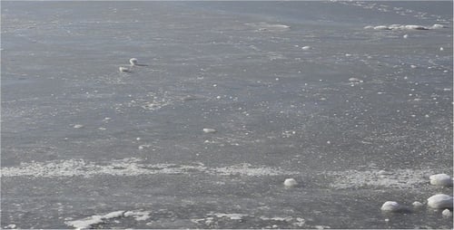 Ice 2