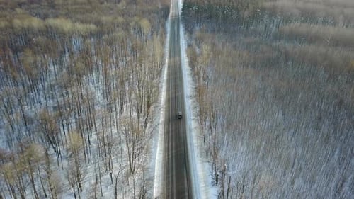 Spring Forest Road