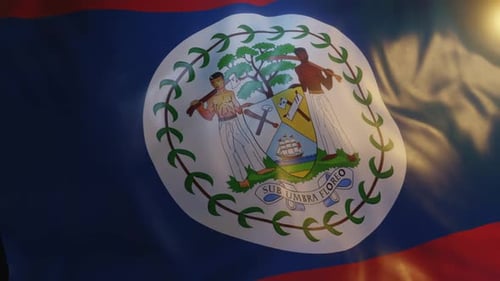 Belize National Flag Waving with Realistic Fabric Movement