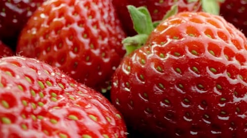 Erdbeere